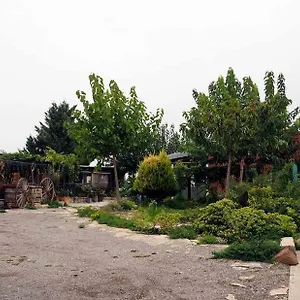 Lera De Cal Roger Сasa de vacaciones